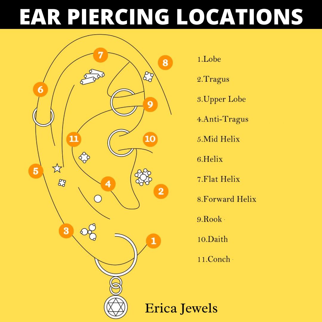 Ear Diagram Labeled Piercing
