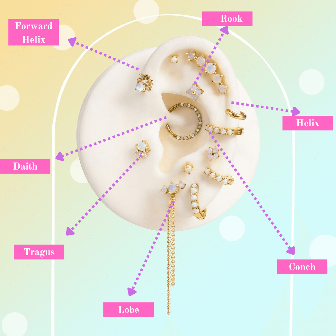 Ear Piercing Chart Names
