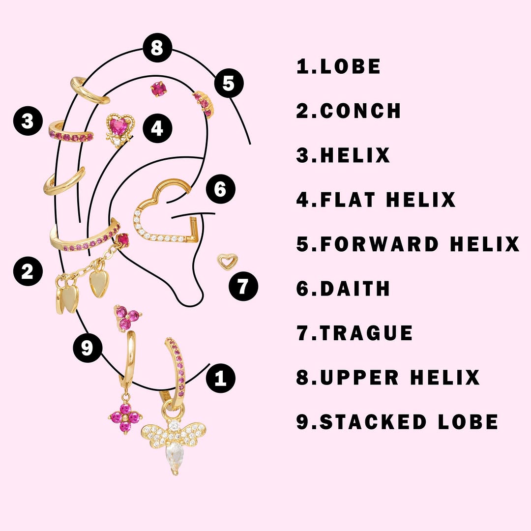 Ear Piercing Diagram: Complete Guide to Placements Map – EricaJewels