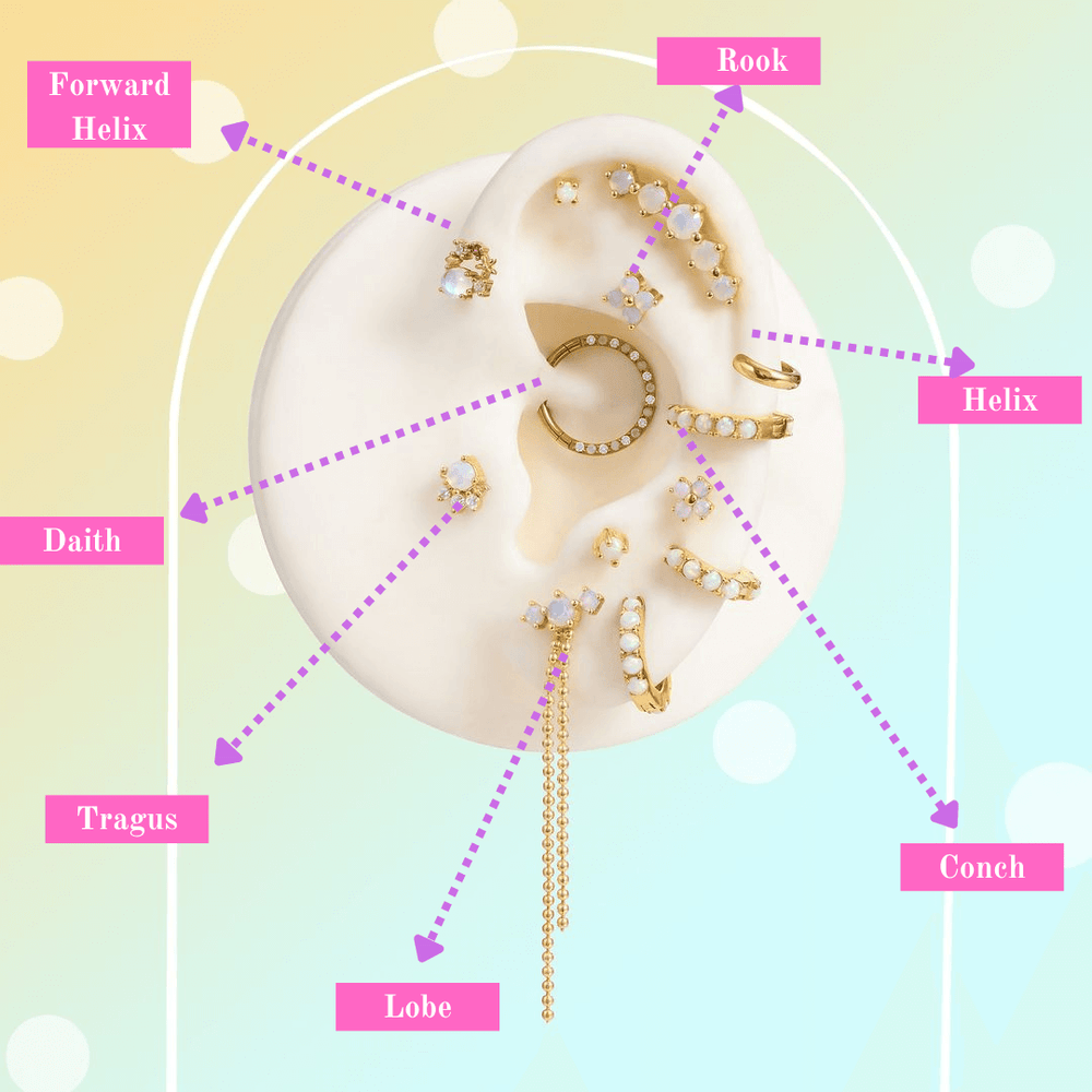 Types Of Piercings Earlobe Simple Guide To Ear Piercing Names
