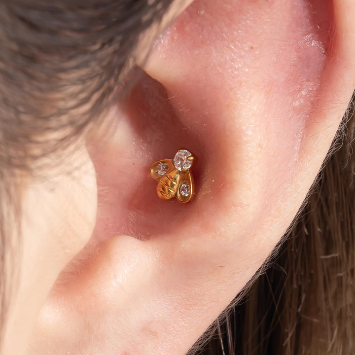 Bee Stud