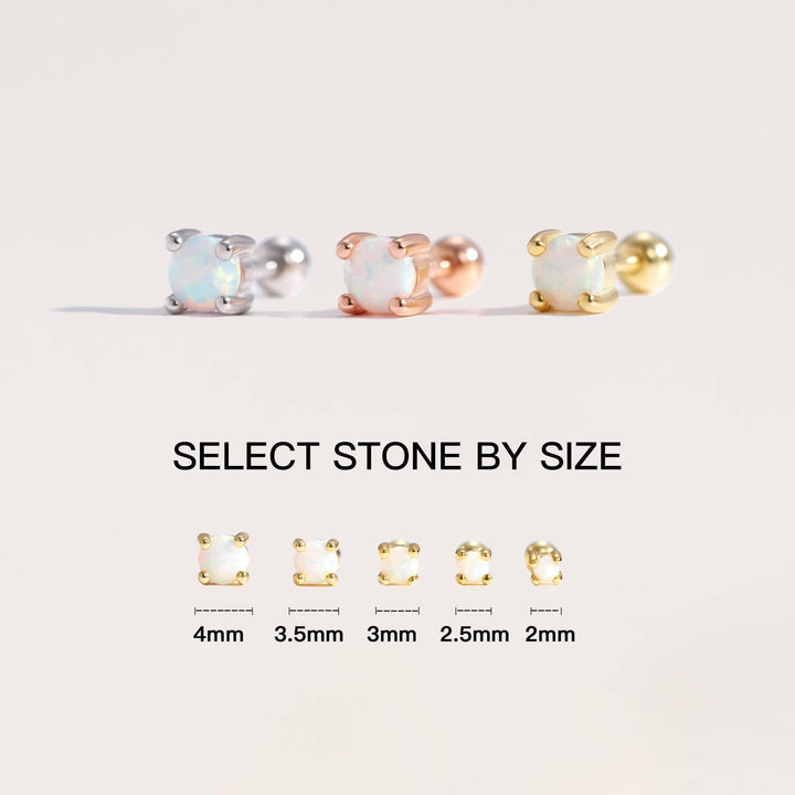 Screw back with sizes