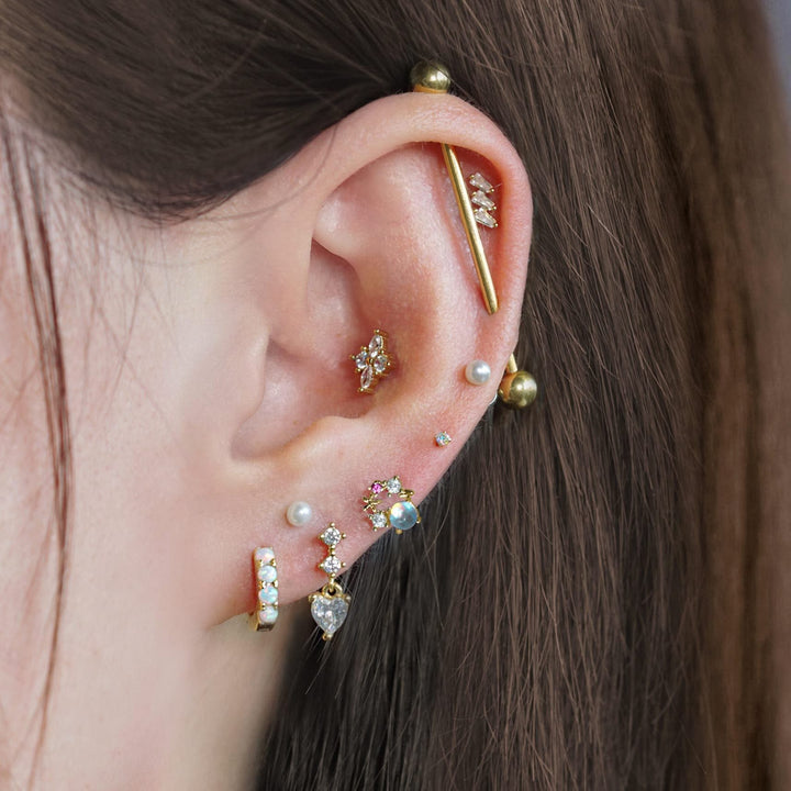 conch earrings