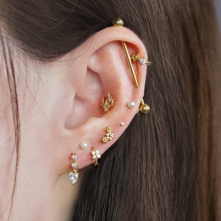 cartilage earrings