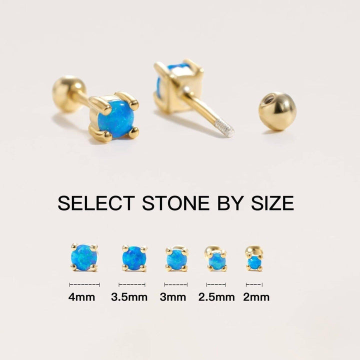 Screw back with sizes