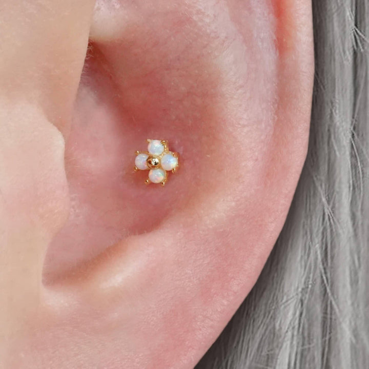 flat back piercings