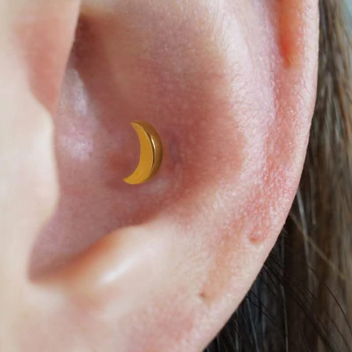 conch stud