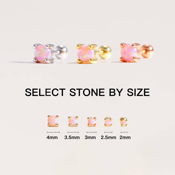Screw back with sizes