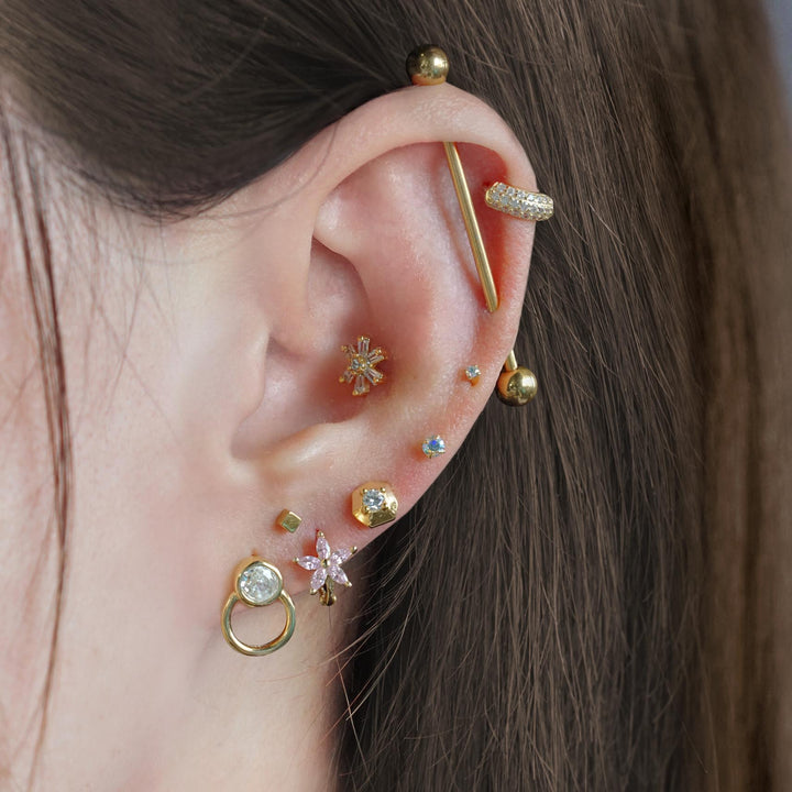cartilage piercing